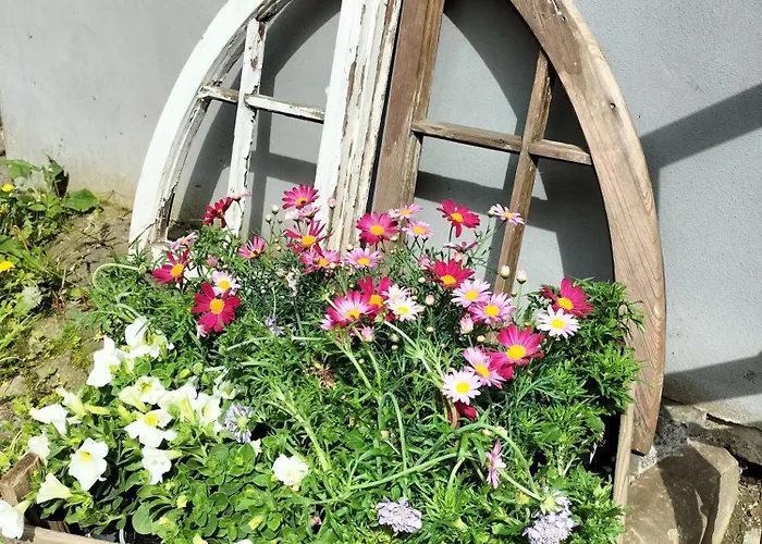 Lejlighed Am Schlossberg